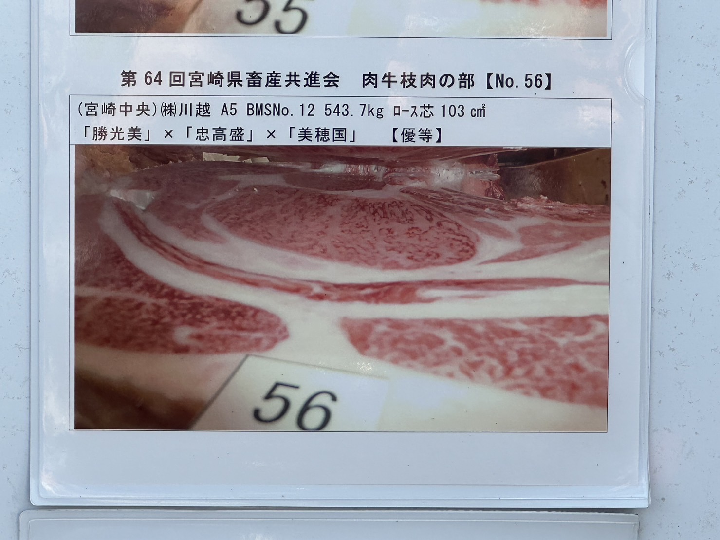 ?? 宮崎県畜産共進会 ??