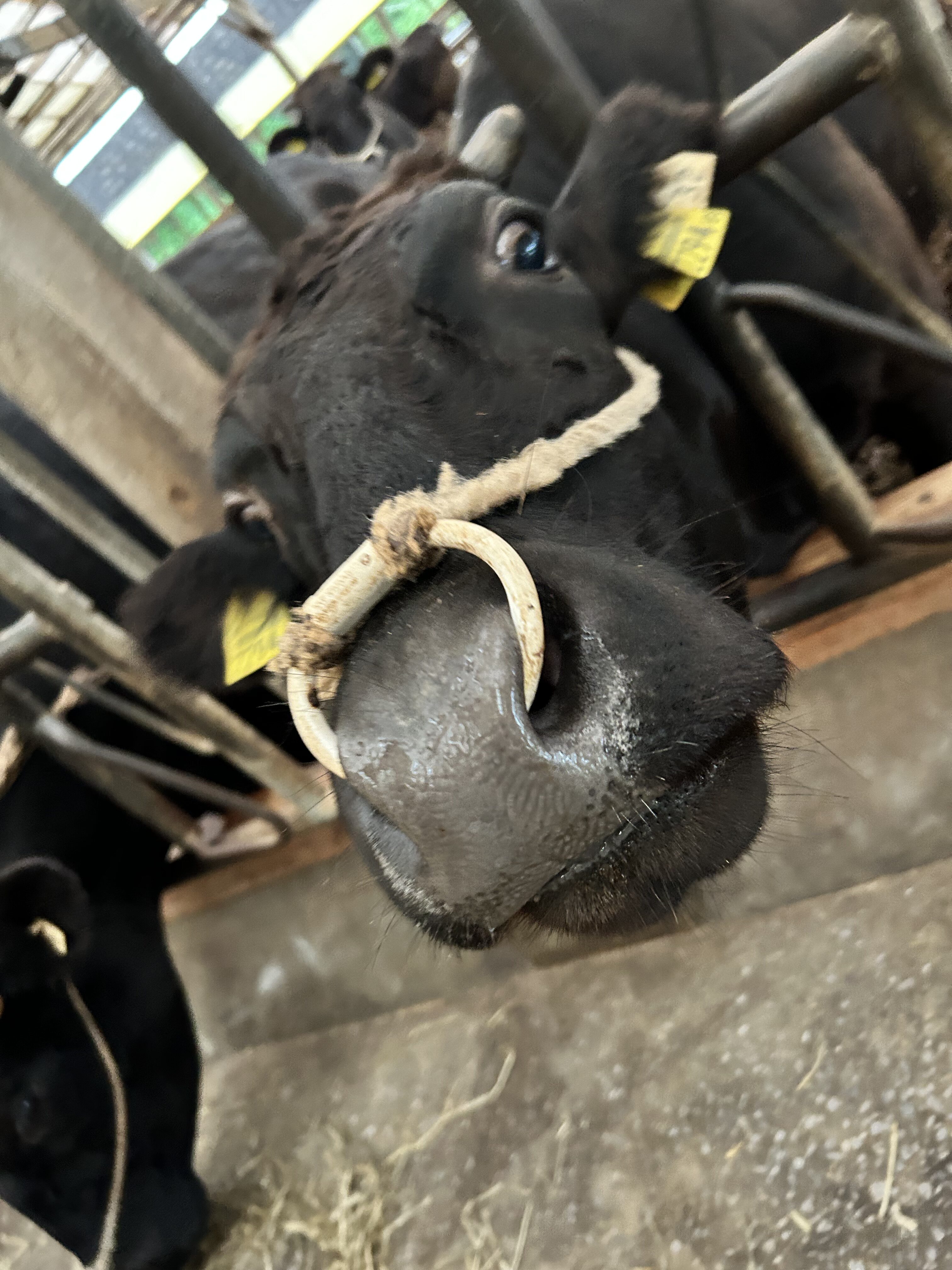 ✨人工授精所開設✨