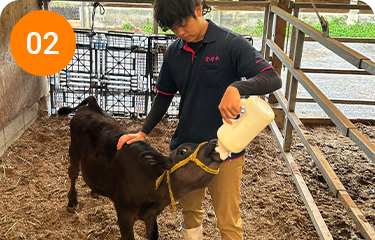 新しい技術と知識長年のノウハウ