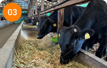 出荷する和牛の98%以上がA5、A4ランク！