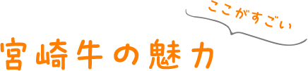 宮崎牛の魅力
